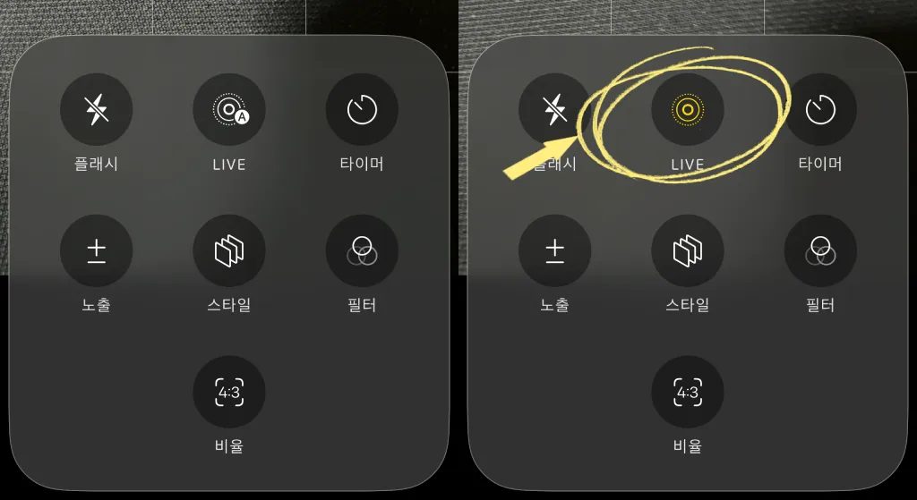 아이폰 카메라 라이브 포토 무음 설정 아이콘 켜기